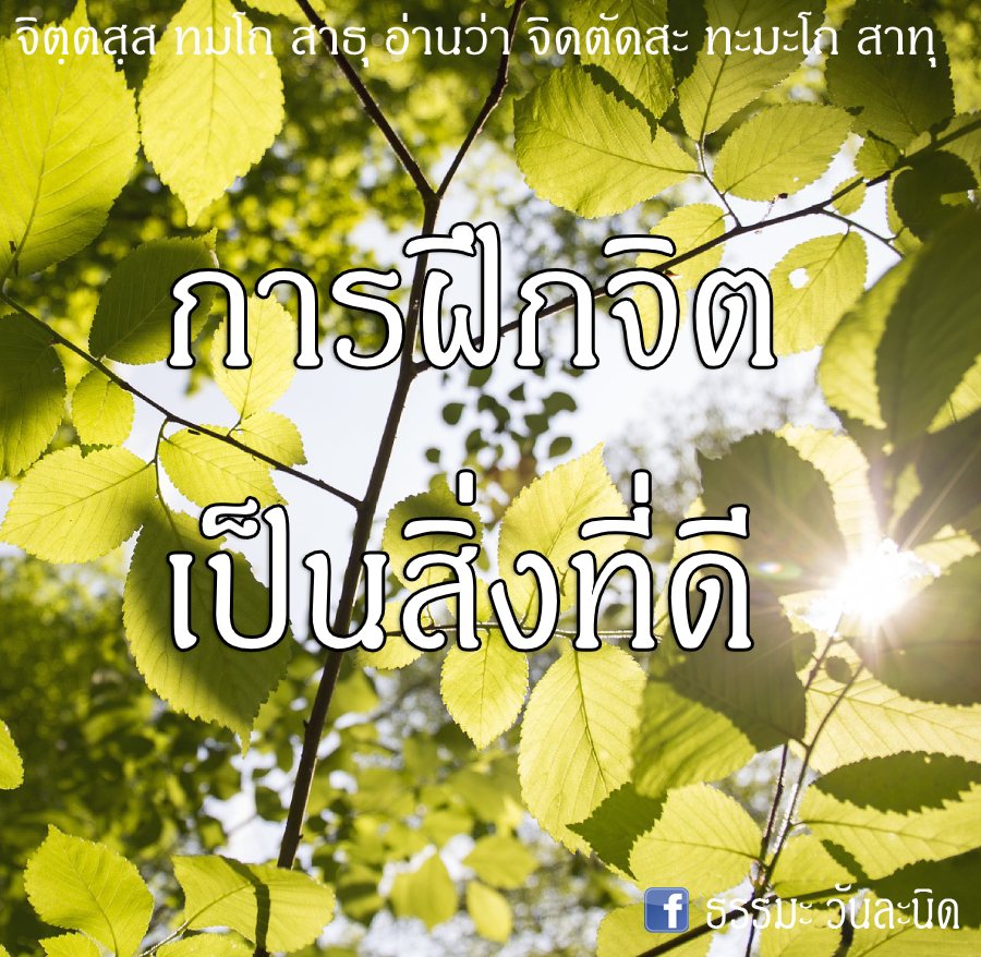 การฝึกจิตเป็นสิ่งที่ดี