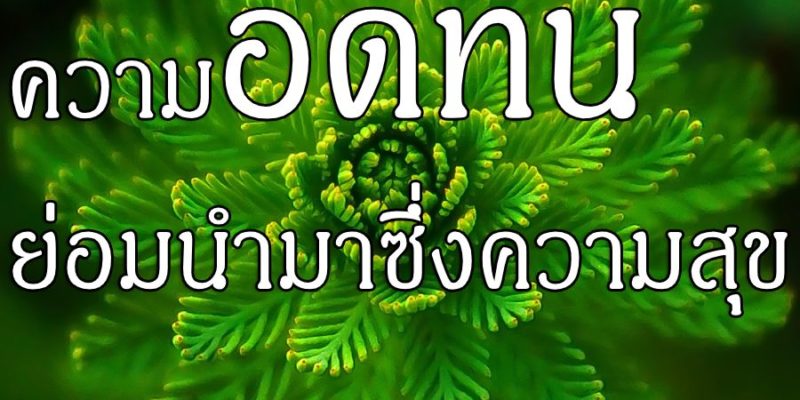 ความอดทน ย่อมนำมาซึ่งความสุข