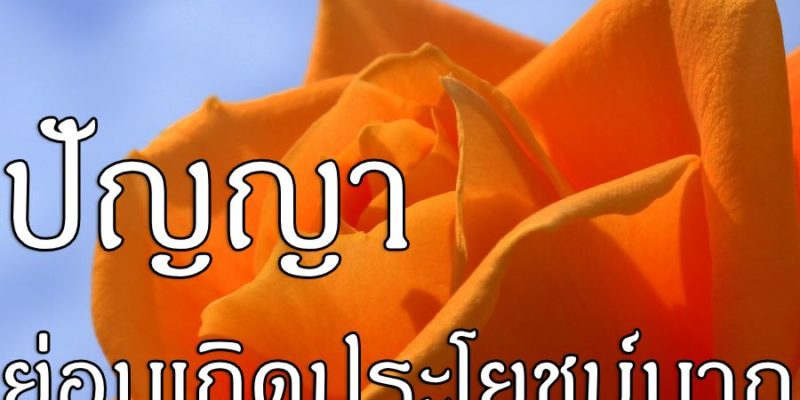 การครองเรือนด้วยปัญญา ย่อมเกิดประโยชน์มาก