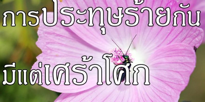 การประทุษร้ายกัน มีแต่เศร้าโศก