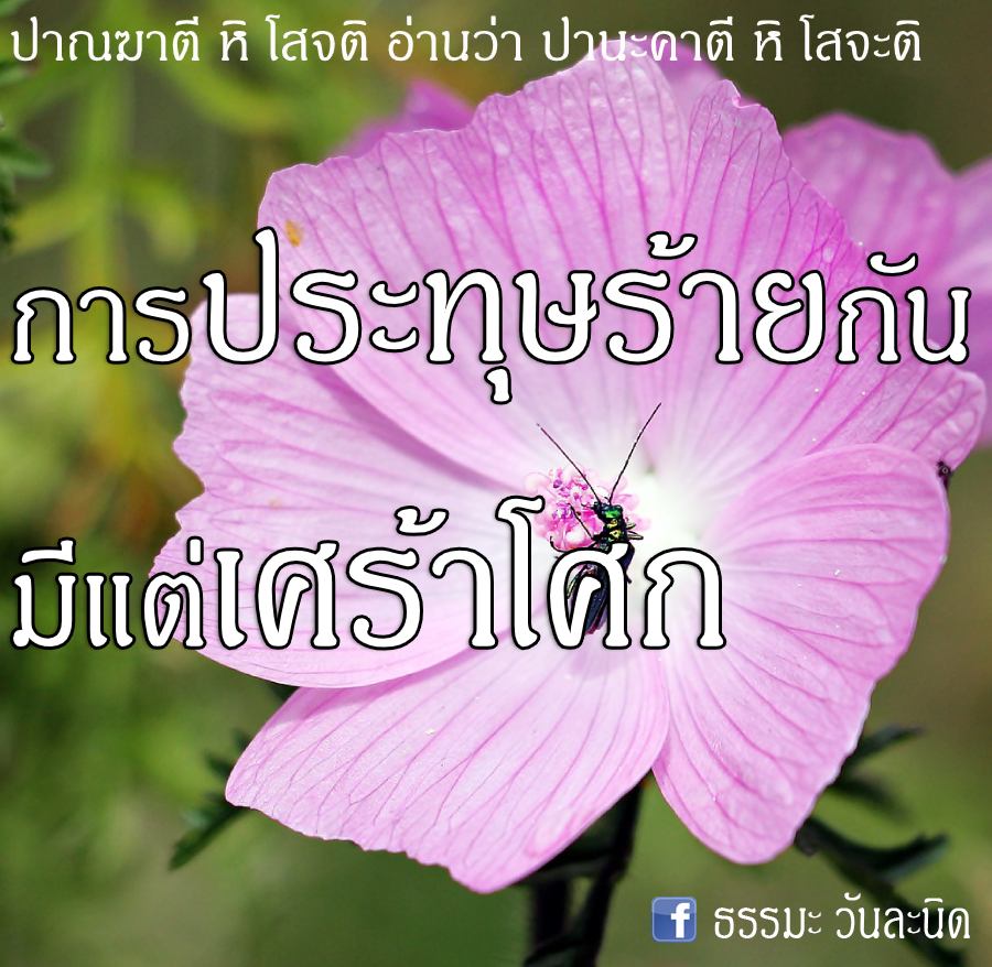 การประทุษร้ายกัน มีแต่เศร้าโศก