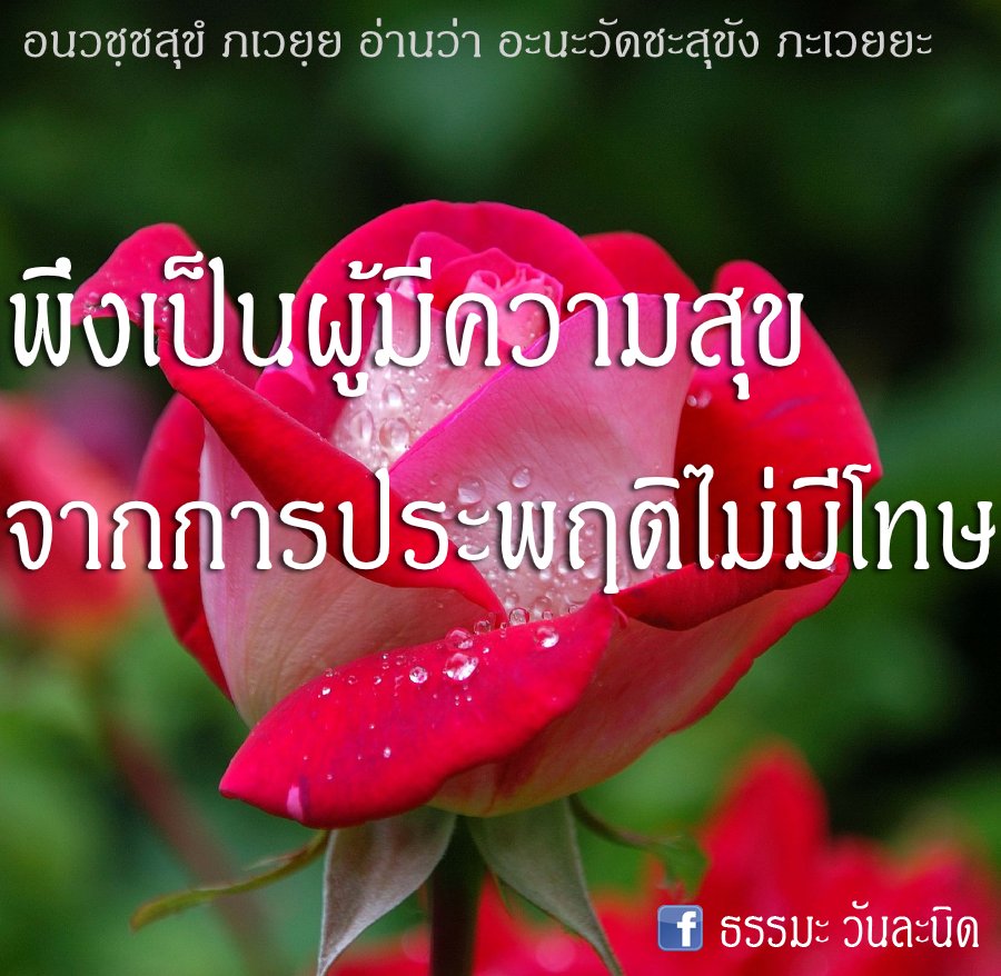 พึงเป็นผู้มีความสุข จากการประพฤติไม่มีโทษ