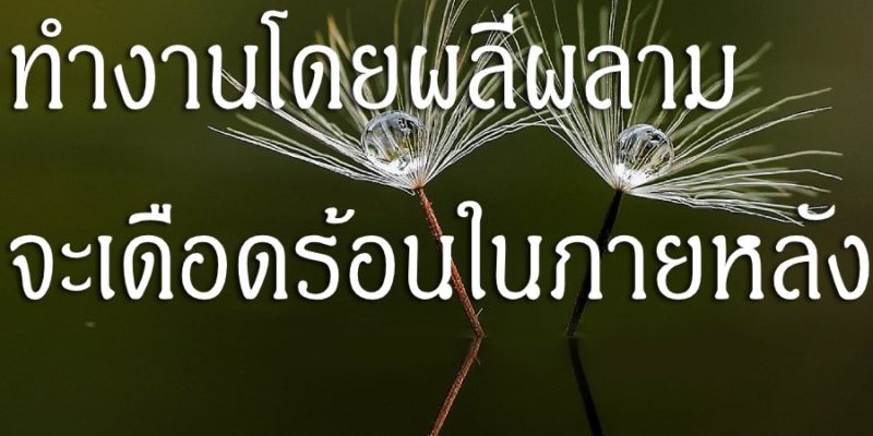 ทำงานโดยผลีผลาม จะเดือดร้อน ในภายหลัง