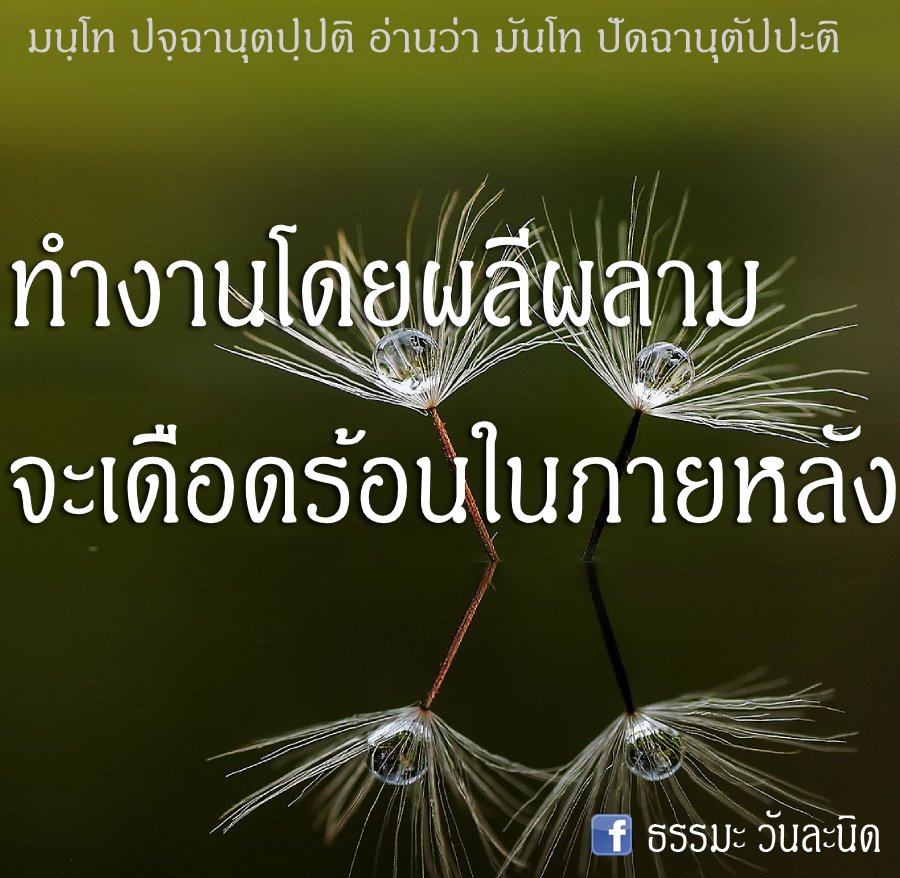 ทำงานโดยผลีผลาม จะเดือดร้อน ในภายหลัง