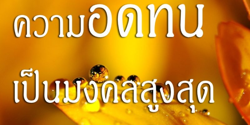 ความอดทน เป็นมงคลสูงสุด