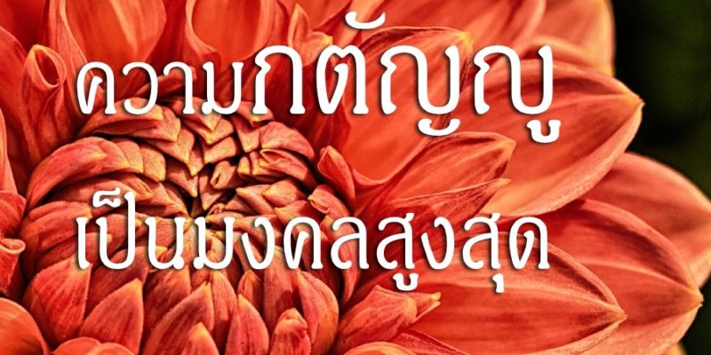 ความกตัญญู เป็นมงคลสูงสุด