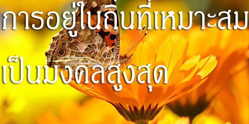 การอยู่ในถิ่นที่เหมาะสม เป็นมงคลสูงสุด