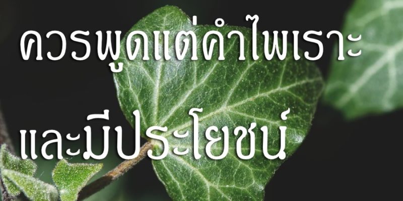 ควรพูดแต่คำไพเราะ และมีประโยชน์