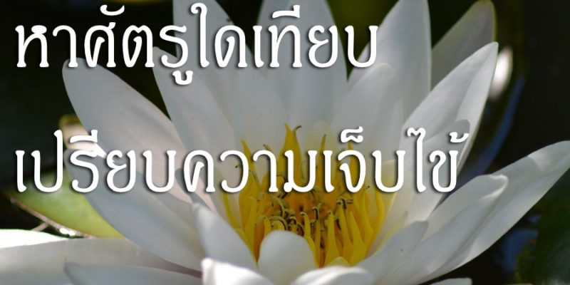 หาศัตรูใดเทียบเปรียบความเจ็บไข้