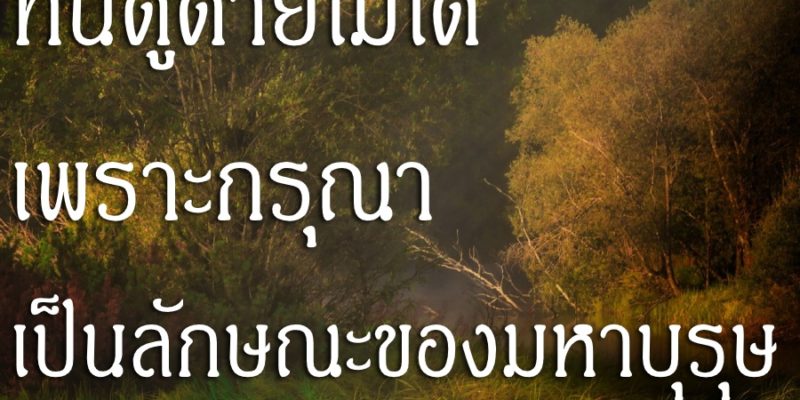 ทนดูดายไม่ได้ เพราะกรุณา เป็นลักษณะของมหาบุรุษ