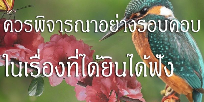 ควรพิจารณาอย่างรอบคอบ ในเรื่องที่ได้ยินได้ฟัง