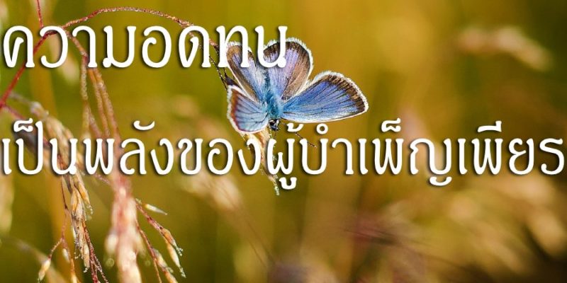 ความอดทน เป็นพลังของผู้บำเพ็ญเพียร