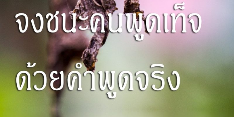 จงชนะคนพูดเท็จด้วยคำพูดจริง