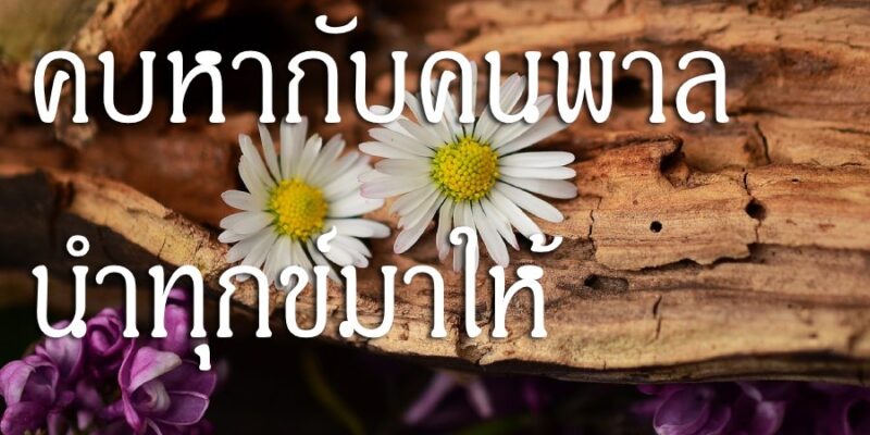 คบหากับคนพาล นำทุกข์มาให้