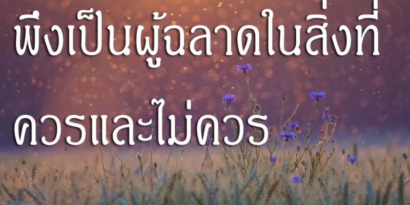 พึงเป็นผู้ฉลาดในสิ่งที่ควรและไม่ควร