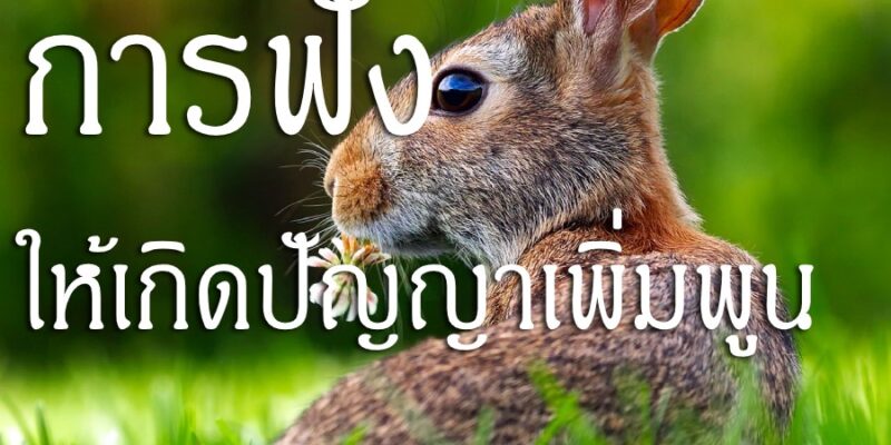 การฟัง ให้เกิดปัญญาเพิ่มพูน