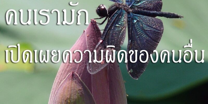 คนเรามักเปิดเผยความผิดของคนอื่น