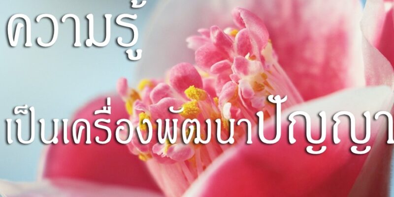 ความรู้เป็นเครื่องพัฒนาปัญญา