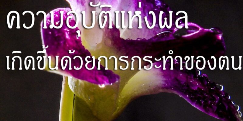 ความอุบัติแห่งผล เกิดขึ้นด้วยการกระทำของตน