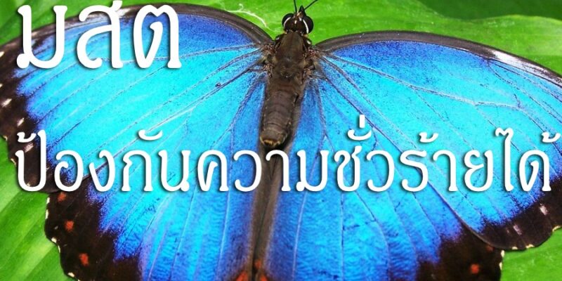 มีสติ ป้องกันความชั่วร้ายได้