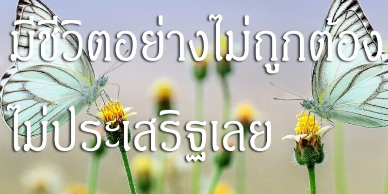 มีชีวิตอย่างไม่ถูกต้อง ไม่ประเสริฐเลย