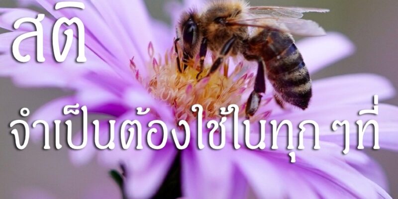 สติ จำเป็นต้องใช้ในทุกๆที่