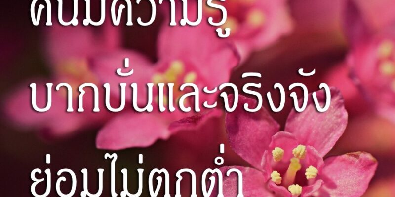 คนมีความรู้ บากบั่นและจริงจัง ย่อมไม่ตกต่ำ