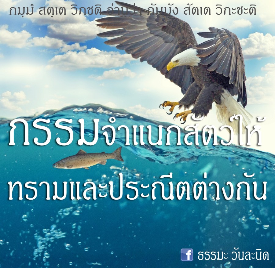 กรรมจำแนกสัตว์ให้ ทรามและประณีตต่างกัน