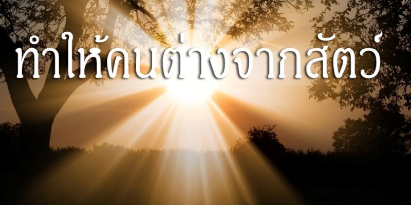 ธรรมะเท่านั้น ทำให้คนต่างจากสัตว์