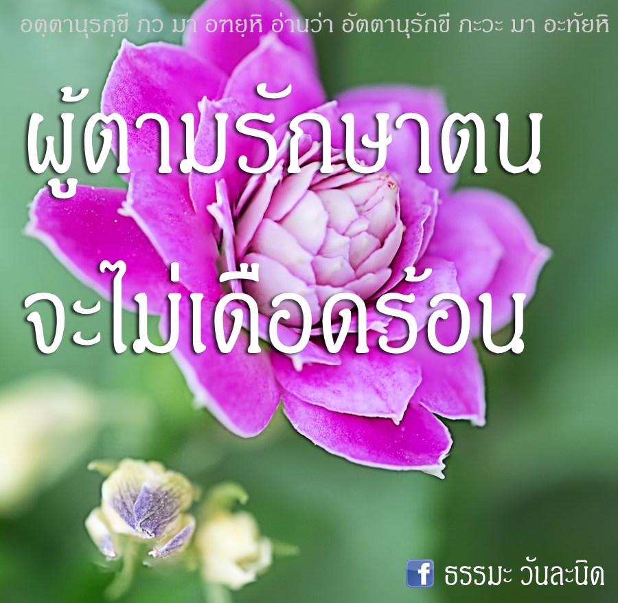 ผู้ตามรักษาตน จะไม่เดือดร้อน