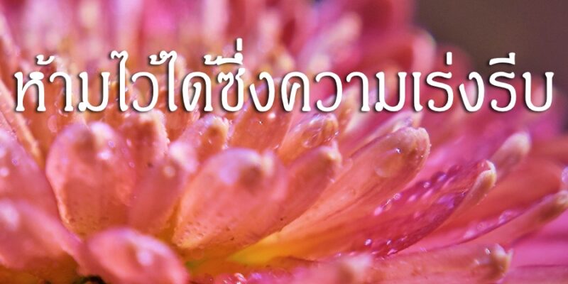 ความอดทนห้ามไว้ได้ซึ่งความเร่งรีบ