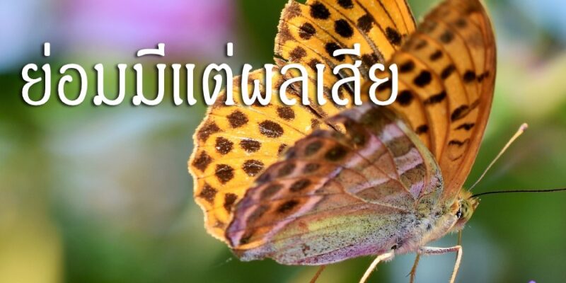 ทำการงานที่ไม่พินิจพิจารณา ย่อมมีแต่ผลเสีย