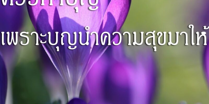 ควรทำบุญ เพราะบุญนำความสุขมาให้