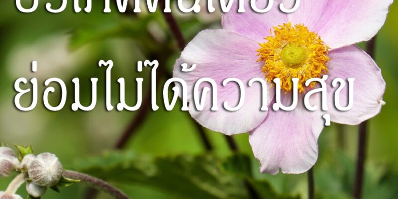 บริโภคคนเดียว ย่อมไม่ได้ความสุข