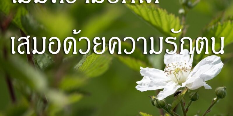 ไม่มีความรักใด เสมอด้วยความรักตน