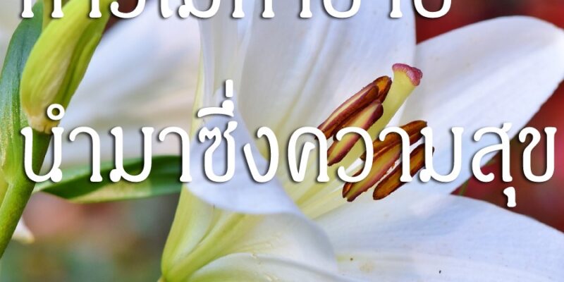 การไม่ทำบาป นำมาซึ่งความสุข