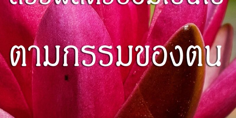 สรรพสัตว์ย่อมเป็นไปตามกรรมของตน