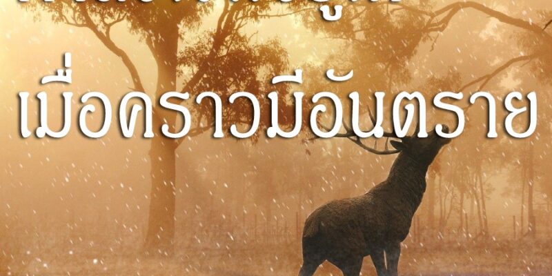 กำลังใจพึงรู้ได้ เมื่อคราวมีอันตราย