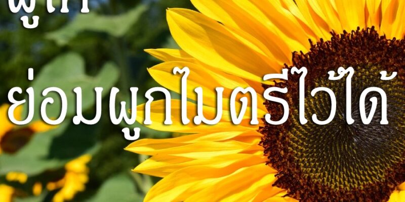 ผู้ให้ ย่อมผูกไมตรีไว้ได้