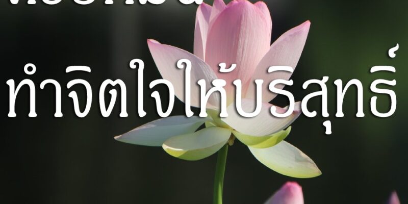 ควรหมั่นทำจิตใจให้บริสุทธิ์