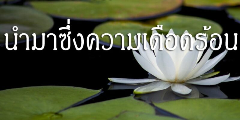 คบคนพาล นำมาซึ่งความเดือดร้อน