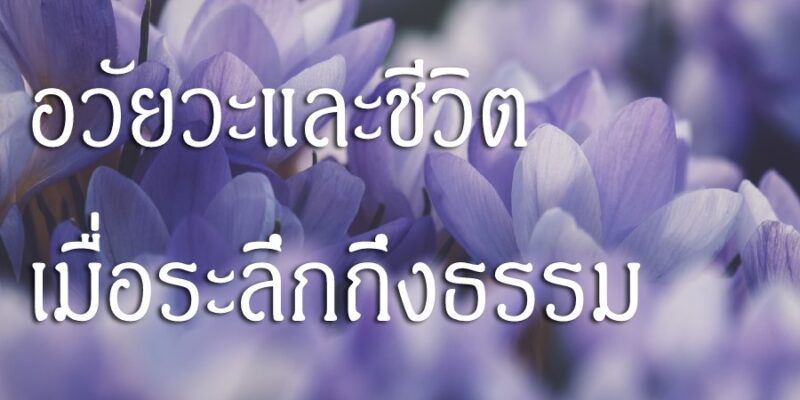 ผู้กล้าควรสละทรัพย์อวัยวะและชีวิต เมื่อระลึกถึงธรรม