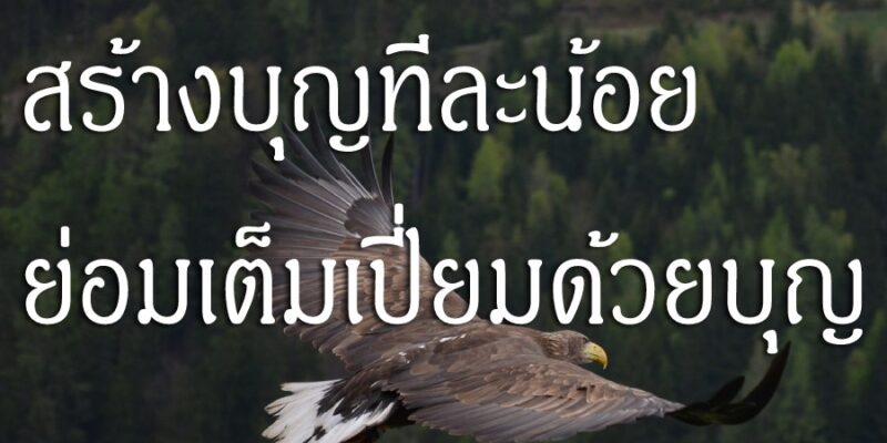 คนฉลาดสร้างบุญทีละน้อย ย่อมเต็มเปี่ยมด้วยบุญ