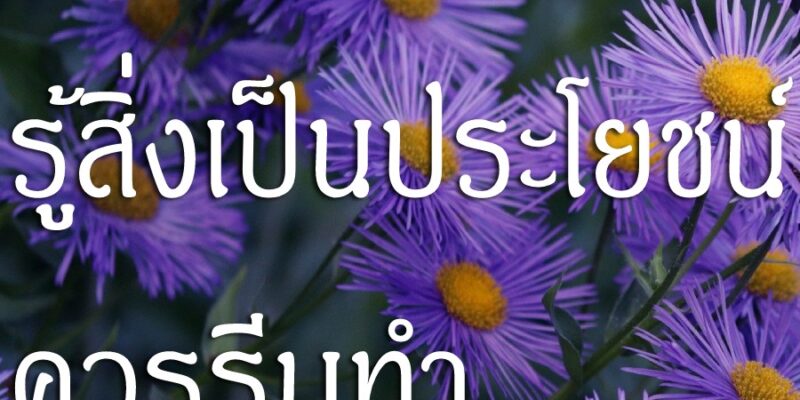 คนฉลาด รู้สิ่งเป็นประโยชน์ ควรรีบทำ