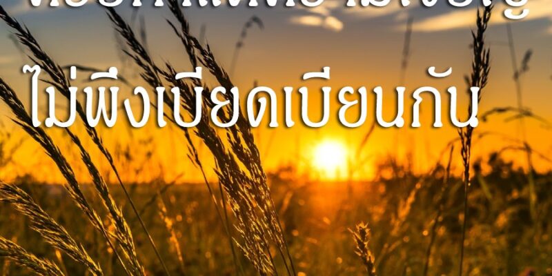 ควรทำแต่ความเจริญ ไม่พึงเบียดเบียนกัน