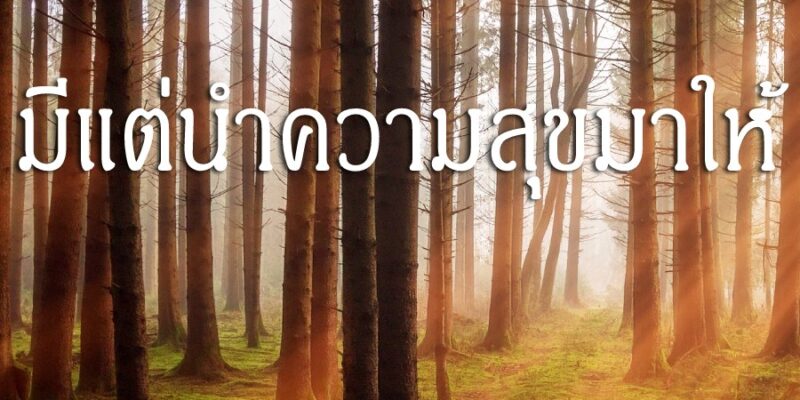 การเลือกคบคนดี มีแต่นำความสุขมาให้