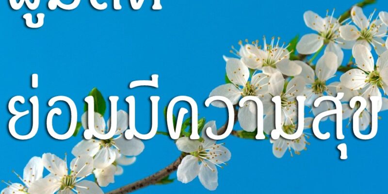 ผู้มีสติ ย่อมมีความสุข