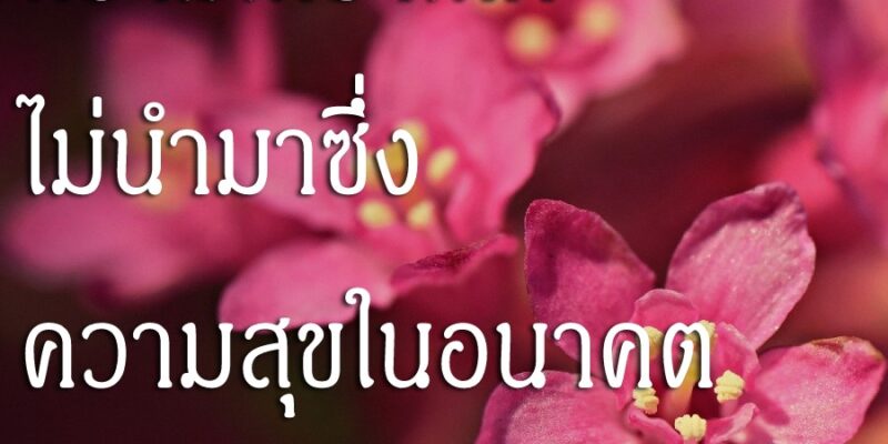 ความเศร้าโศกไม่นำมาซึ่งความสุขในอนาคต