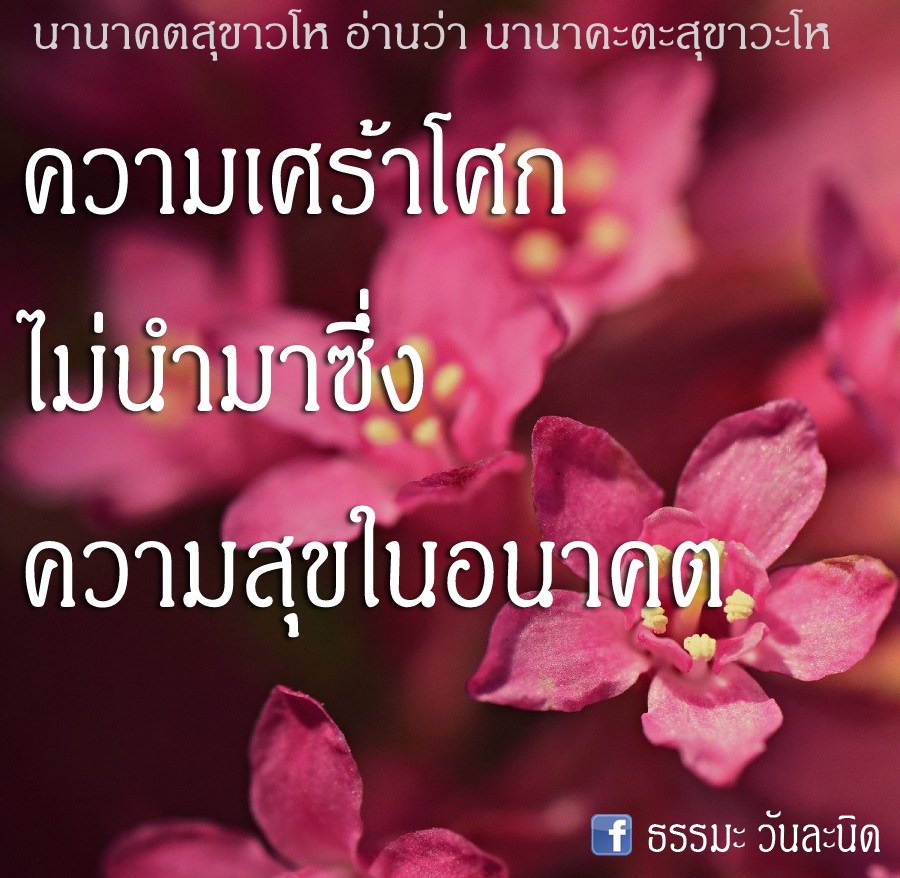 ความเศร้าโศกไม่นำมาซึ่งความสุขในอนาคต