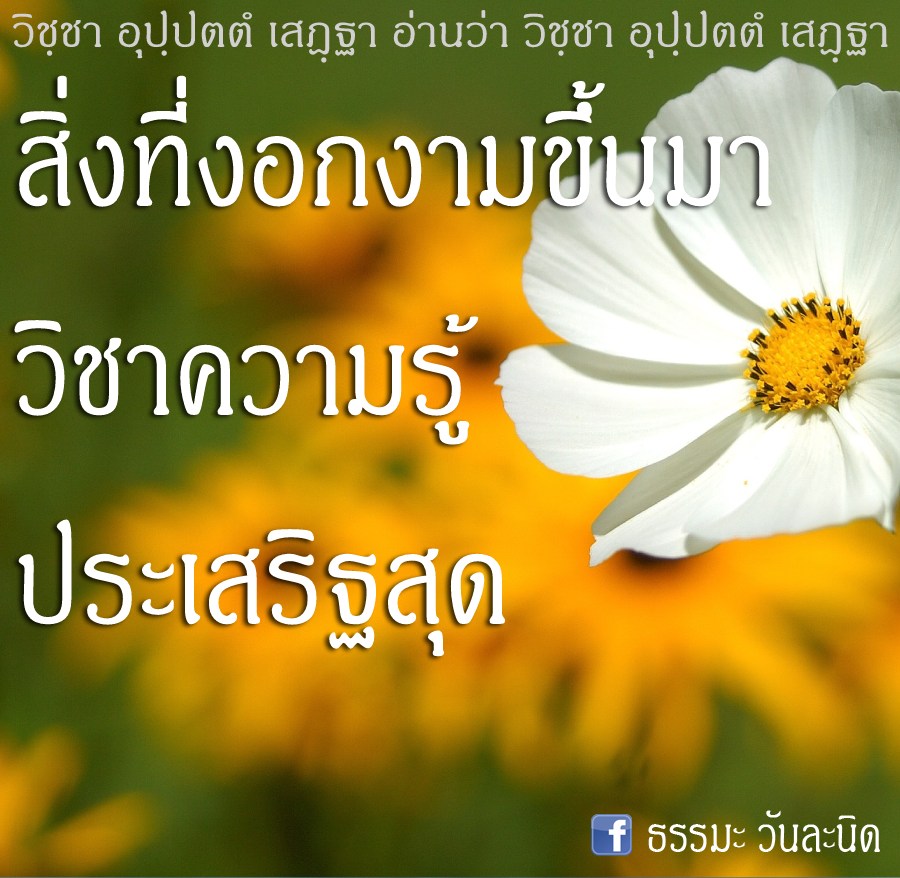 สิ่งที่งอกงามขึ้นมา วิชาความรู้ ประเสริฐสุด